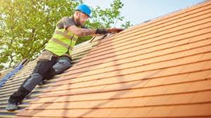  Schler Park, IL Roofing services Pros